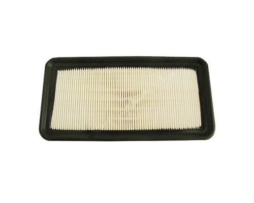 Повітряний фільтр для автомобіля Champion CAF100873P