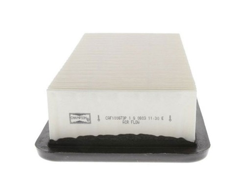 Повітряний фільтр для автомобіля Champion CAF100873P