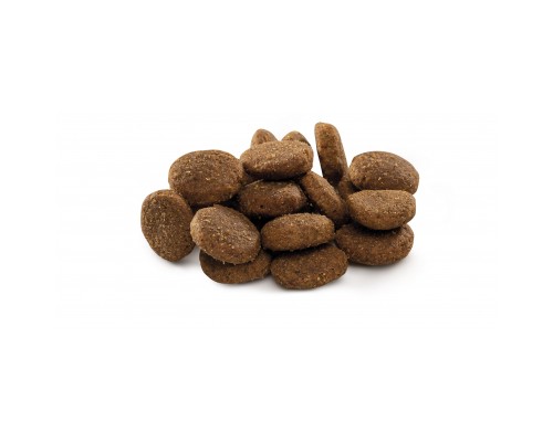 Сухий корм для собак Brit Premium Dog Junior XL 15 кг (8595602526505)