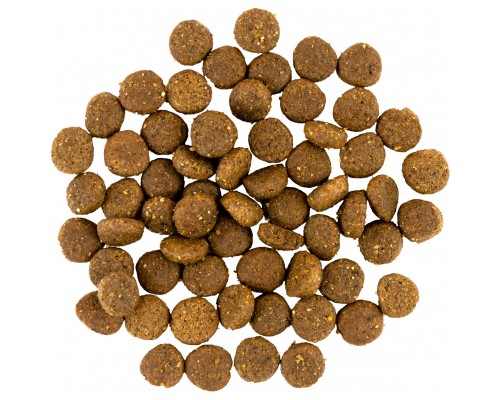 Сухий корм для собак Savory Puppy rich in Fresh Turkey and Chicken 1 кг (4820232630280)