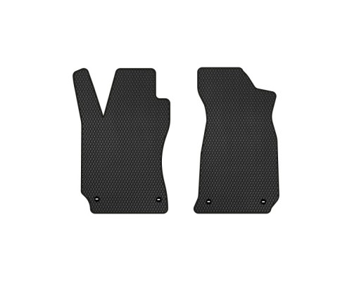 Килимок в салон EVAtech передні Volkswagen Passat (B5) 1996-2005 5 (VW32526AV2RBB)