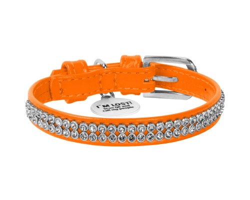 Нашийник для тварин WAUDOG Glamour з QR-паспортом 