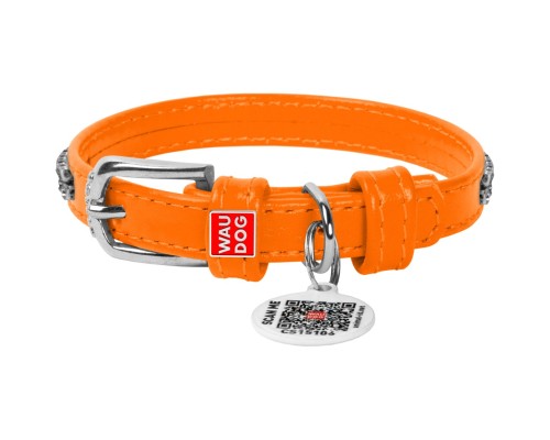Нашийник для тварин WAUDOG Glamour з QR-паспортом 