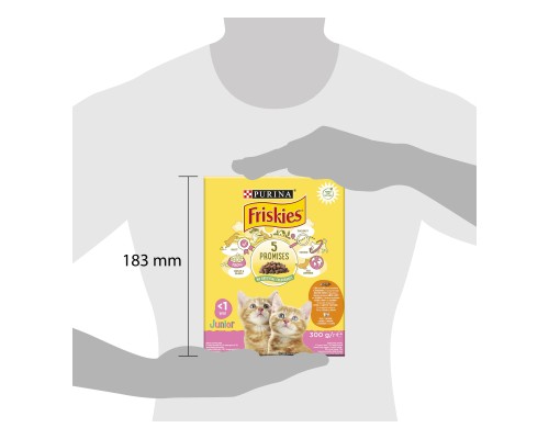Сухий корм для кішок Purina Friskies Junior з куркою, молоком і овочами 300 г (7613031868360) Сухий корм для кішок Purina Friskies Junior з куркою, молоком і овочами 300 г (7613031868360)