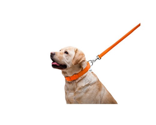 Повідок для собак WAUDOG Glamour шкіряний M-XXL помаранчевий (33764)