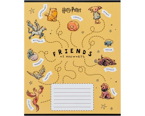 Зошит Kite Harry Potter 12 аркушів, коса лінія (HP24-235)