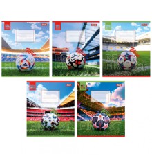 Зошит 1 вересня Win А5 24 аркушів клітинка (767008)