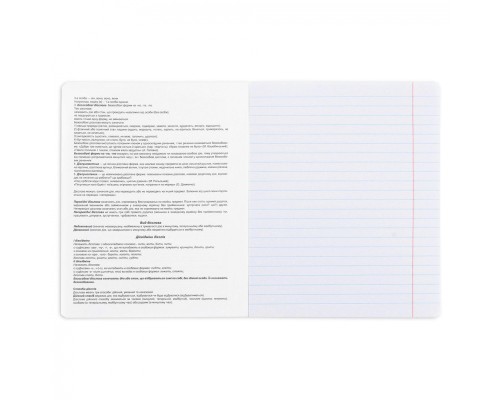 Зошит Yes предметний УКРАЇНСЬКА МОВА Anime 48 аркушів, лінія (767479)