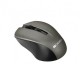 Мишка Canyon MW-1 Wireless Gray (CNE-CMSW1G)