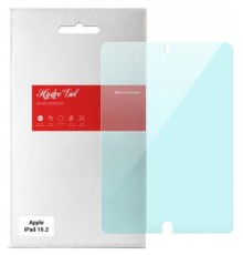 Плівка захисна Armorstandart Anti-blue Apple iPad 10.2 (282239943)