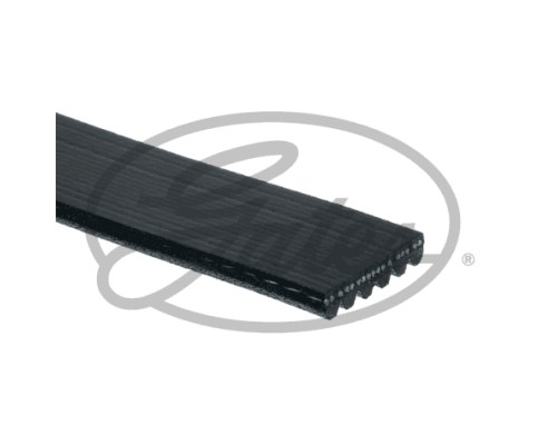 Поліклиновий ремінь Gates 6PK1660