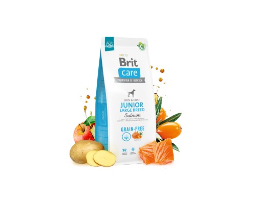 Сухий корм для собак Brit Care Dog Grain-free Junior Large Breed беззерновий з лососем 12 кг (8595602558865)