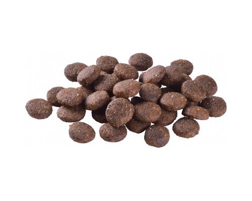 Сухий корм для собак Brit Care Dog Grain-free Junior Large Breed беззерновий з лососем 12 кг (8595602558865)