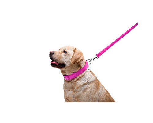 Повідок для собак WAUDOG Glamour шкіряний M-XXL рожевий (33767)