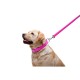 Повідок для собак WAUDOG Glamour шкіряний M-XXL рожевий (33767)