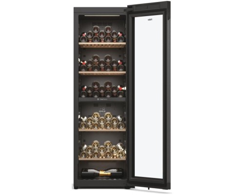 Холодильник Haier HWS236GDGU1