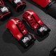 Рукавички для MMA Phantom Apex Red L/XL (PHMMAG2728-LXL)
