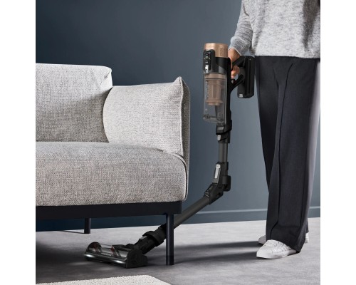 Пилосос Rowenta RH9B74WO