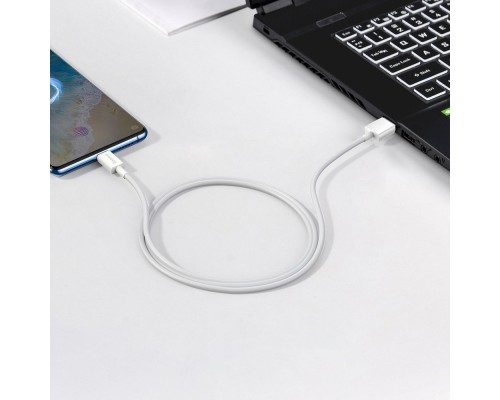 Дата кабель USB 2.0 AM to Micro 5P 2.0m Superior Fast Charging 2A white Baseus (CAMYS-A02)