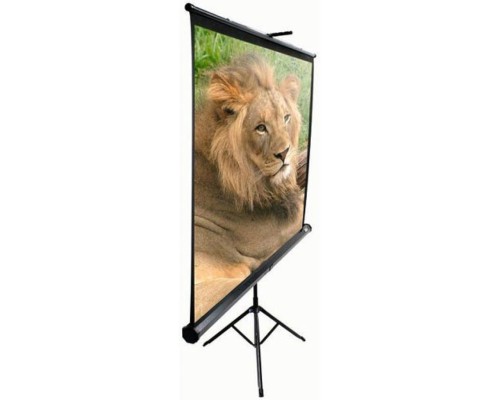 Проекційний екран T119NWS1 Elite Screens Проекційний екран T119NWS1 Elite Screens