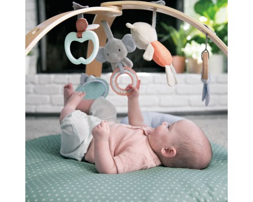 Дитячий килимок Ingenuity Cozy Spot (12126)