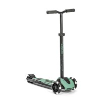 Самокат Scoot&Ride Highwaykick 5 LED Forest (SR-190117-FOREST)