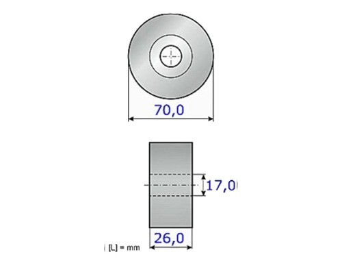 Ролик натягувача ременя INA 531 0891 10