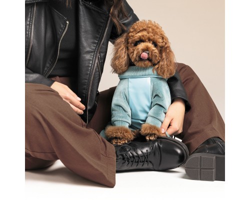 Комбінезон для тварин Pet Fashion Comfort M блакитний (4823082427987)
