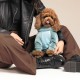 Комбінезон для тварин Pet Fashion Comfort M блакитний (4823082427987)
