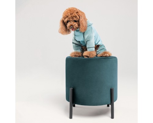 Комбінезон для тварин Pet Fashion Comfort M блакитний (4823082427987)