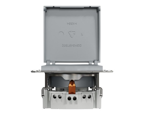 Розетка Schneider Electric ASFORA з кришкою, сталь (EPH3100162) Розетка Schneider Electric ASFORA з кришкою, сталь (EPH3100162)