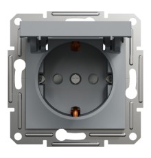 Розетка Schneider Electric ASFORA з кришкою, сталь (EPH3100162)