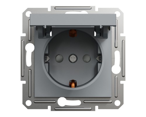 Розетка Schneider Electric ASFORA з кришкою, сталь (EPH3100162) Розетка Schneider Electric ASFORA з кришкою, сталь (EPH3100162)
