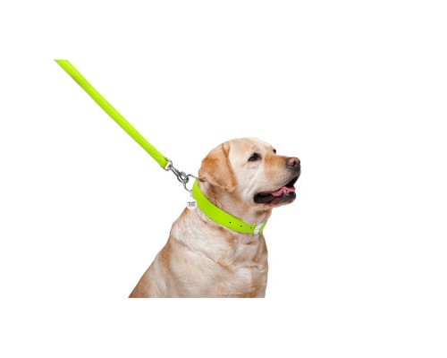 Повідок для собак WAUDOG Glamour шкіряний M-XXL салатовий (33765)