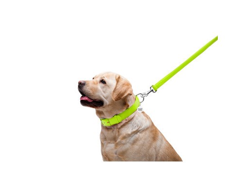 Повідок для собак WAUDOG Glamour шкіряний M-XXL салатовий (33765)