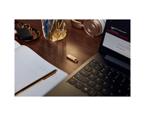 USB флеш накопичувач Kingston 512GB DataTraveler SE9 G3 Gold USB 3.2 (DTSE9G3/512GB) 