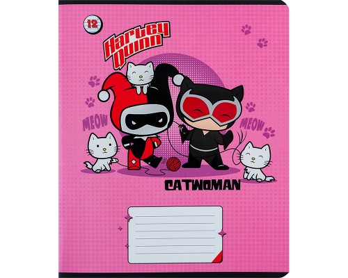 Зошит Kite DC Comics 12 аркушів, лінія (DC24-234)