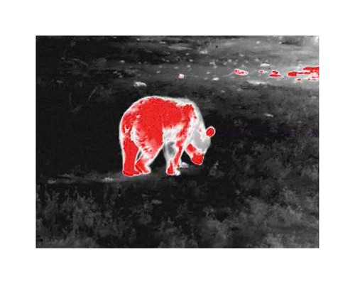 Монокуляр Guide тепловізійний TD431 LRF 2.6-10.4x35 384x28812m. 1800 м з далекоміром 600 м (TD431LRF)