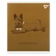 Зошит Yes Luxure doggy А5 24 аркушів клітинка (767539)