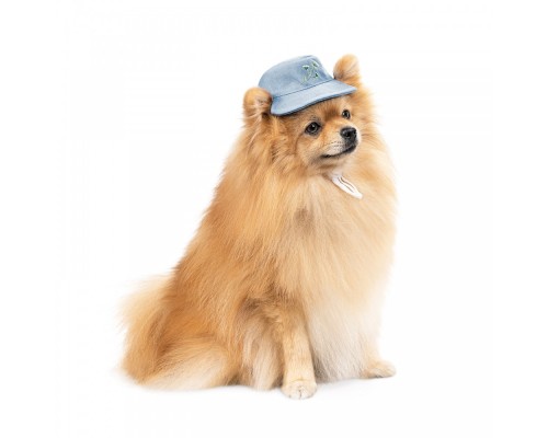 Кепка для тварин Pet Fashion Blue XS з квітковим принтом (4823082434220)