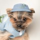 Кепка для тварин Pet Fashion Blue XS з квітковим принтом (4823082434220)