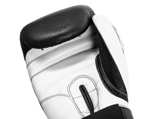 Боксерські рукавички Title Boxing Dynamic Strike Black/White 12 oz (XDBG 12 BK/WH)