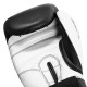Боксерські рукавички Title Boxing Dynamic Strike Black/White 12 oz (XDBG 12 BK/WH)