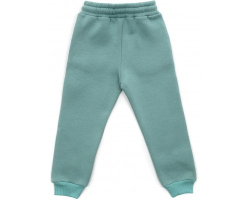 Штани дитячі Cloise спортивні на флісі (CL0154012-128-mint)