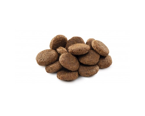 Сухий корм для собак Brit Premium Dog Senior L+XL 3 кг (8595602526475)