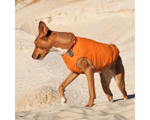 Жилет для тварин Pet Fashion Жилет для тварин Pet Fashion