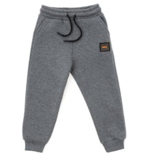 Штани дитячі Cloise спортивні флісові (CL0155019-116B-gray)