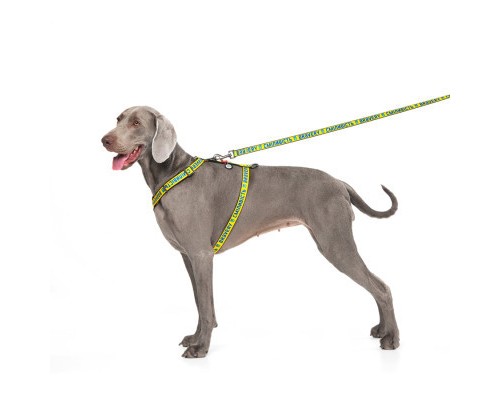 Повідок для собак WAUDOG Nylon 