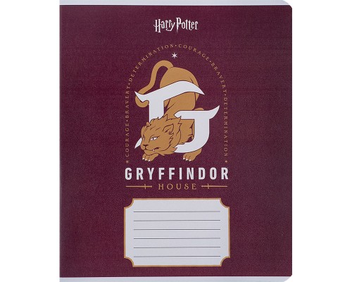 Зошит Kite Harry Potter 12 аркушів, лінія (HP24-234)