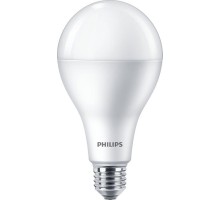 Лампочка Philips LEDBulb 19W 6500K 230V E27 A80 (929002004149)